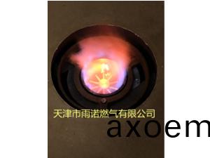 植(zhi)物油燃料（輕質白油）