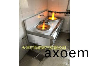 醕(chun)基燃料(liao)