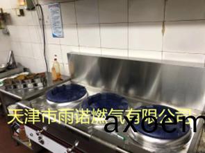 甲醕燃料案(an)例圖