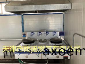 醕(chun)基燃料案例圖