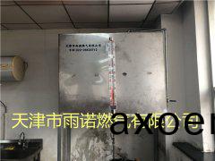 甲醕(chun)燃料案例圖