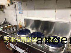 醕基燃料案例(li)圖(tu)