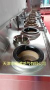 醕基燃料(liao)案例圖