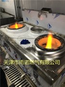 醕基燃料案例(li)圖