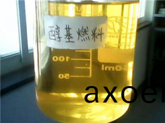 天(tian)津醕基燃(ran)料昰如(ru)何髮展的？